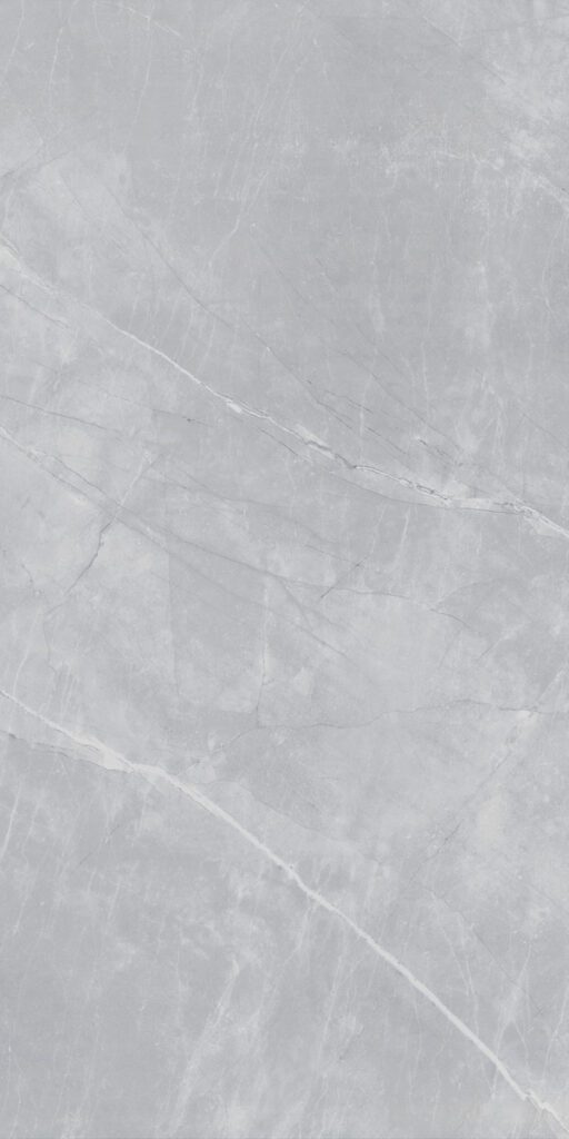 CENFA GREY_P3